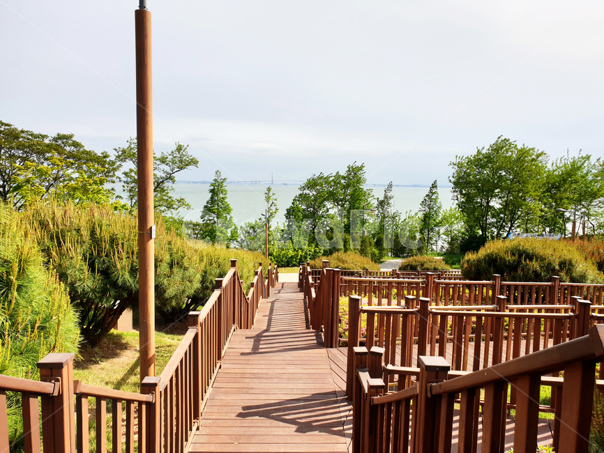 boardwalk,산책로,bridge,다리,building,건물,railing,난간,나무,tree