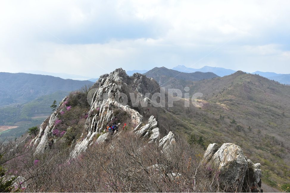 주작산,덕룡산,종주,진달래,풍경,기암,바위,비경,봄풍경,진달래꽃,강진,명산,산행,등산,마운틴,힐링,mountain,landscape,자연,natural,자연,풍경,nature,landscape,한국자연풍경,한국자연경관,korea nature landscape,slope,경사,outdoors,옥외,mountain range,산맥,산