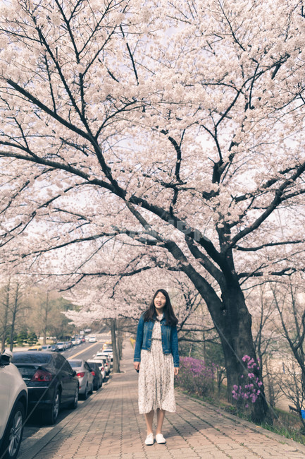 여자,벚꽃,flower,girl,woman,cheeryblossom,portrait,봄,계절,spring,season,사람,인물,인간,human,person,여성,여자,woman,female,lady,plant,식물,vehicle,차량,transportation,교통,automobile,자동차,car,차,꽃,blossom