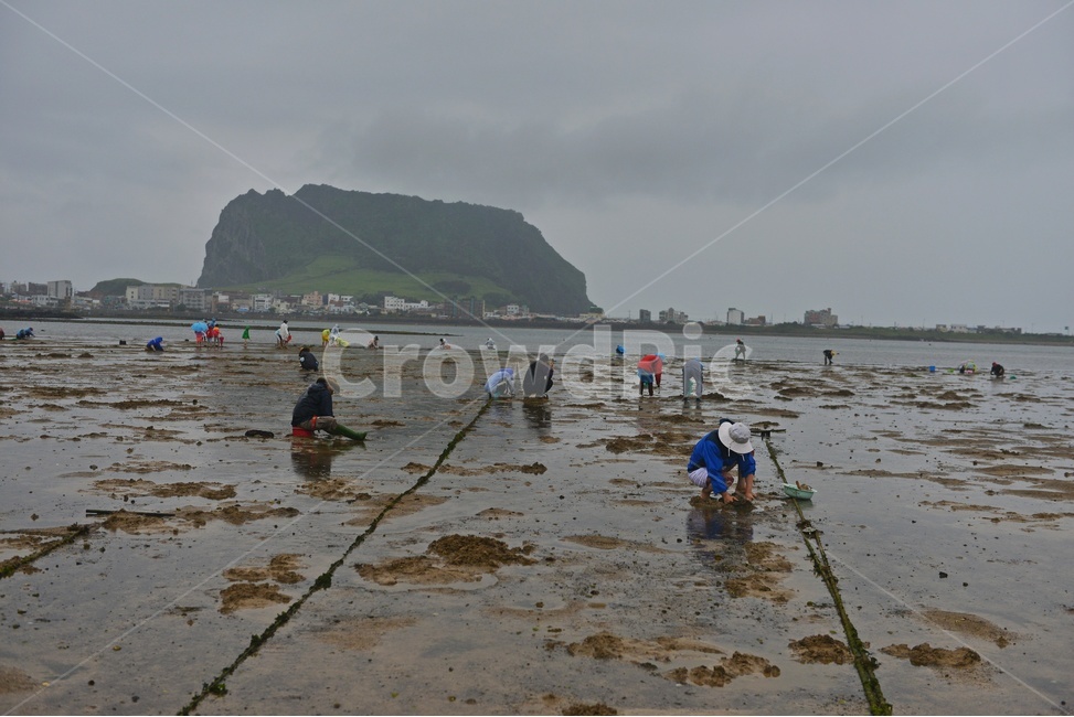 outdoors,옥외,nature,자연,person,사람,human,인간,water,물,ocean,대양,sea,바다,제주도,성산일출봉,해변,해안