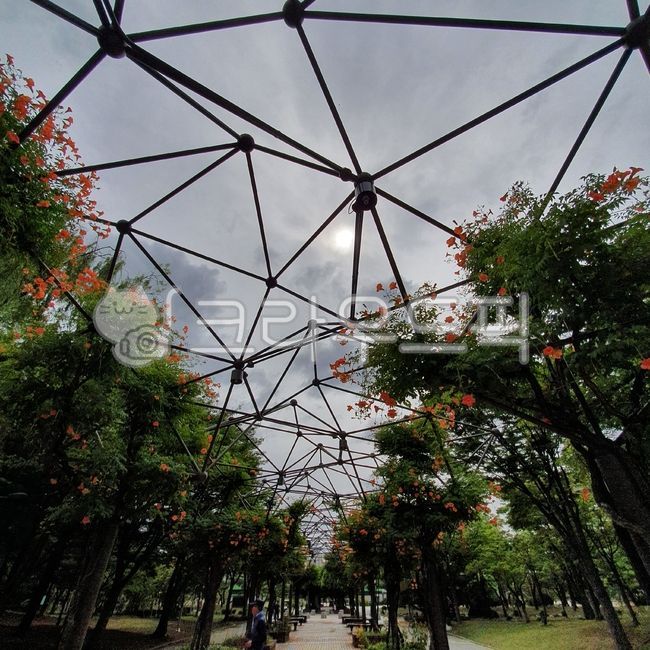 garden,정원,nature,자연,outdoors,옥외,나무,꽃,잎