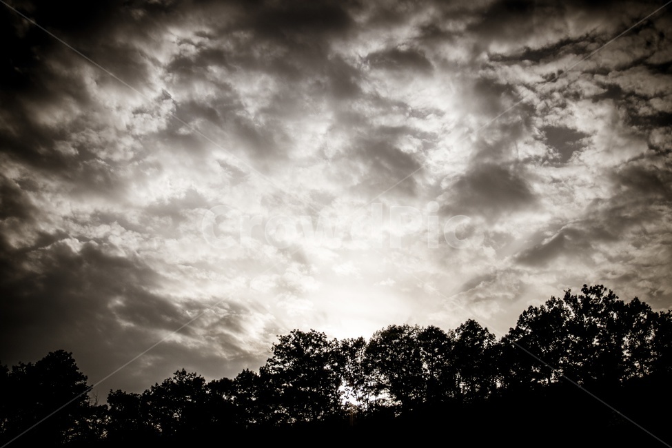 흑백,하늘,나무,구름,monochrome,sky,tree,cloud,자연,nature,자연,풍경,nature,landscape,실루엣,그림자,silhouette,shadow,흑백,모노톤,monochrome,black and white,weather,날씨,cumulus,적운,outdoors,옥외