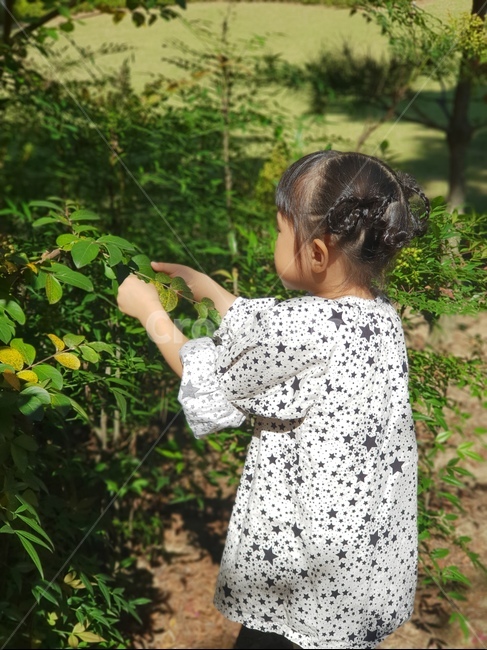 아이,여자아이,뒷모습,나뭇잎,자연,숲,나무,사람,인물,인간,human,person,어린이,어린아이,child,children,kid