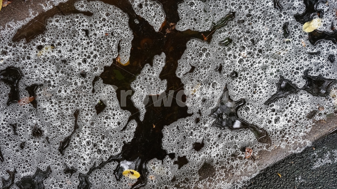 거품,빗물,물,bubble,water