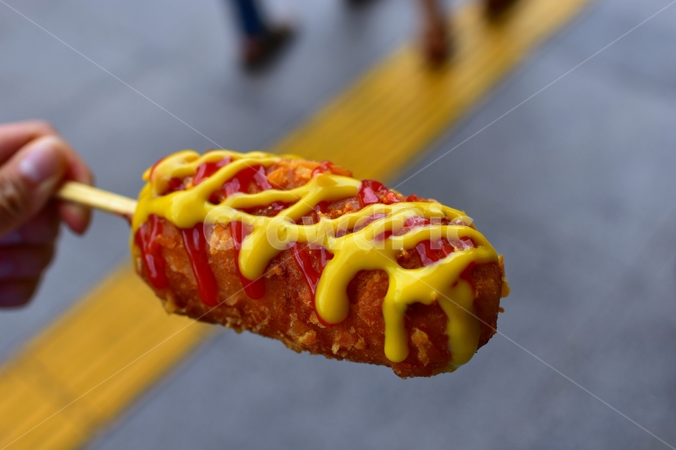 핫도그,hotdog,food,음식,길거리,주전부리,케찹,머스타드,튀김,음식,식재료,요리,food,cook,meal,dishes,food reserves
