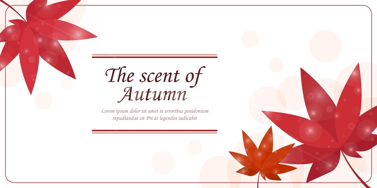 단풍,단풍잎,가을,프레임,배경,백그라운드,가을,계절,fall,autumn,season,그래픽,일러스트레이션,graphic,illustration,plant,식물,leaf,잎