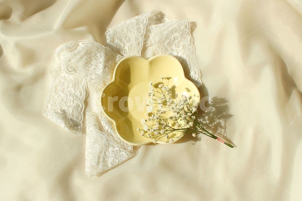 손,꽃,안개꽃,노랑,감성사진,그릇,노란색,하얀색,yellow,white,flower,flowers,레이스,접시,hand,사물,물건,오브젝트,thing,object,matter
