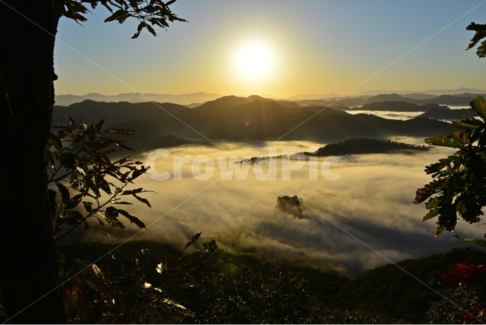 mountainrange,산맥,mountain,산,nature,자연,outdoors,옥외,weather,날씨,light,빛,flare,플레어,sunlight,햇빛,경치,경관,풍경,운해,임실,국사봉,국사봉운해,아침,여명,일출,해돋이,자연,풍경,nature,landscape