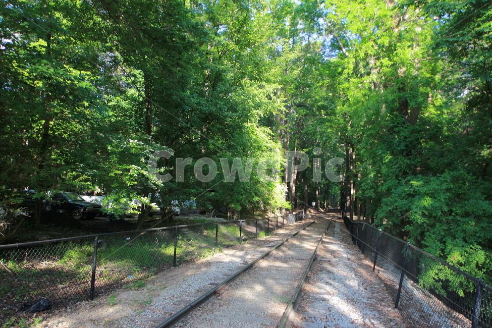 기찻길,기차길,숲길,화창한,철로