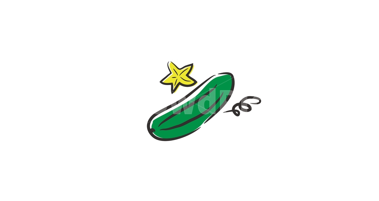 오이,일러스트,묘사,과일,그래픽,디자인,그래픽,일러스트레이션,graphic,illustration