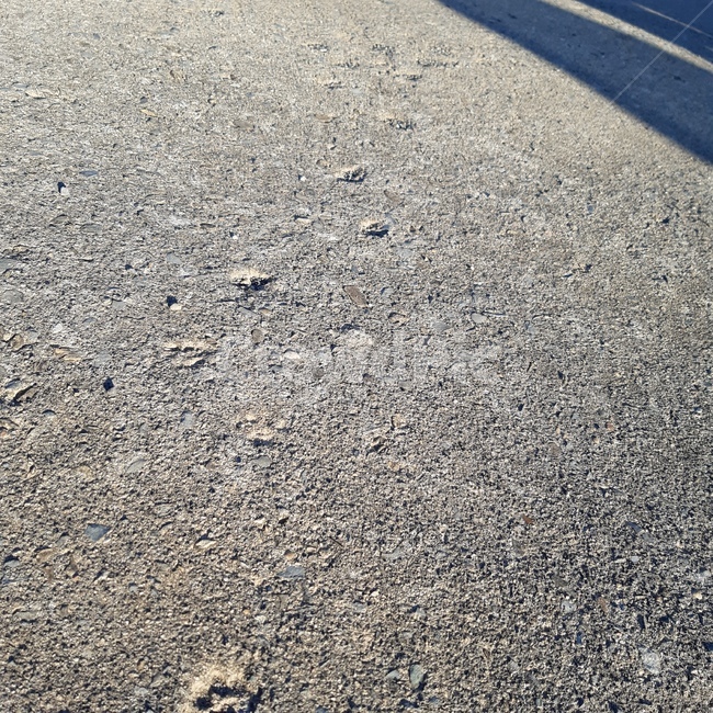asphalt,아스팔트,고양이,발자국,그림자,cat