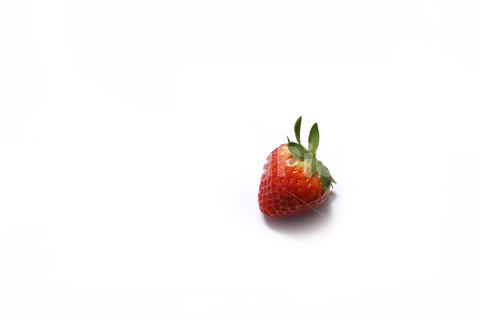 과일,딸기,fruit,strawberry,빨강,음식,식재료,요리,food,cook,meal,dishes,food reserves,과일,열매,fruit