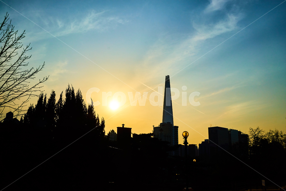 롯데타워,도시풍경,풍경,전경,반전,해,햇빛,노을,해질녘,마천루,고층건물,나무,구름,빛번짐