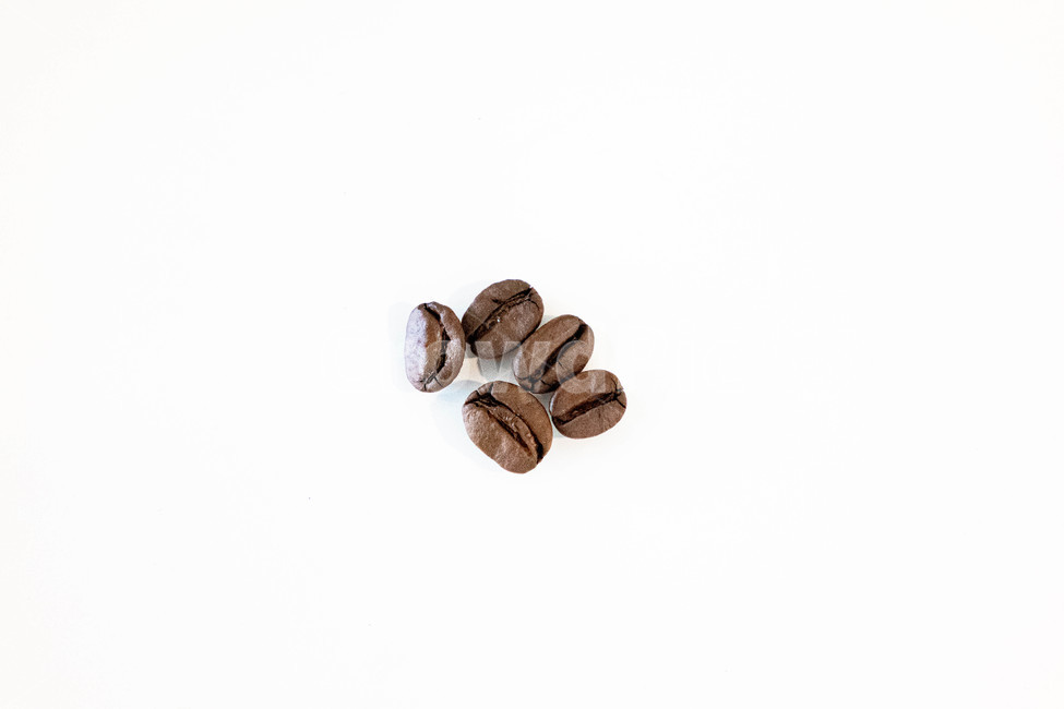 커피콩,로스팅,roasting,커피빈,coffee,coffeebean,커피,콩,원두
