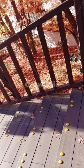 단풍놀이,가을,낙엽,단풍,산책,울긋불긋,나무,자연,가을,계절,fall,autumn,season,handrail,난간,banister,railing