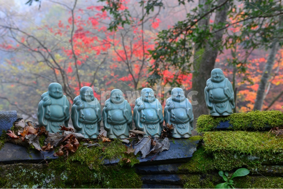 전남,백양사가을,장성,백양사,tree,나무,불상,불공,plant,식물,maple,단풍,leaf,잎,treetrunk,나무줄기,경치,경관,풍경,가을,계절,딘풍잎,추색,추경,outdoors,옥외,nature,자연