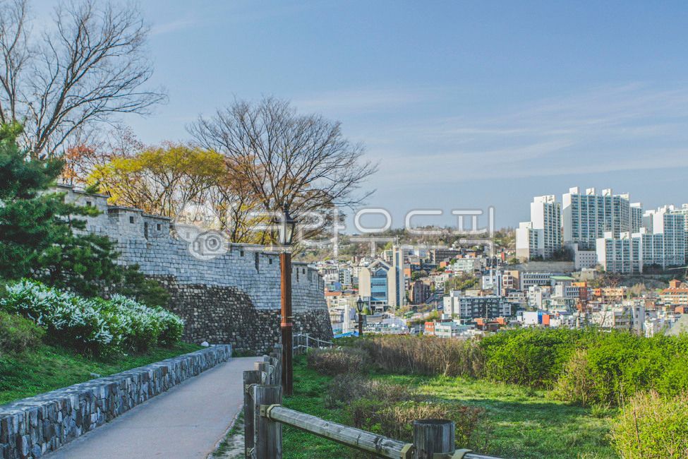 city,building,Hanyangdoseong,mountain,Naksan Park,Handrail,park,handrail,nature,metropolis,center,tree,flower,seoul,outdoors,urban,plant,Seoul Fortress,wall