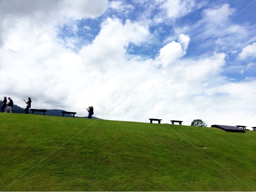 태국,치앙마이,대학교,하늘,풀밭,자연,풍경,nature,landscape,grass,잔디,plant,식물,outdoors,옥외,field,들,grassland,목초지