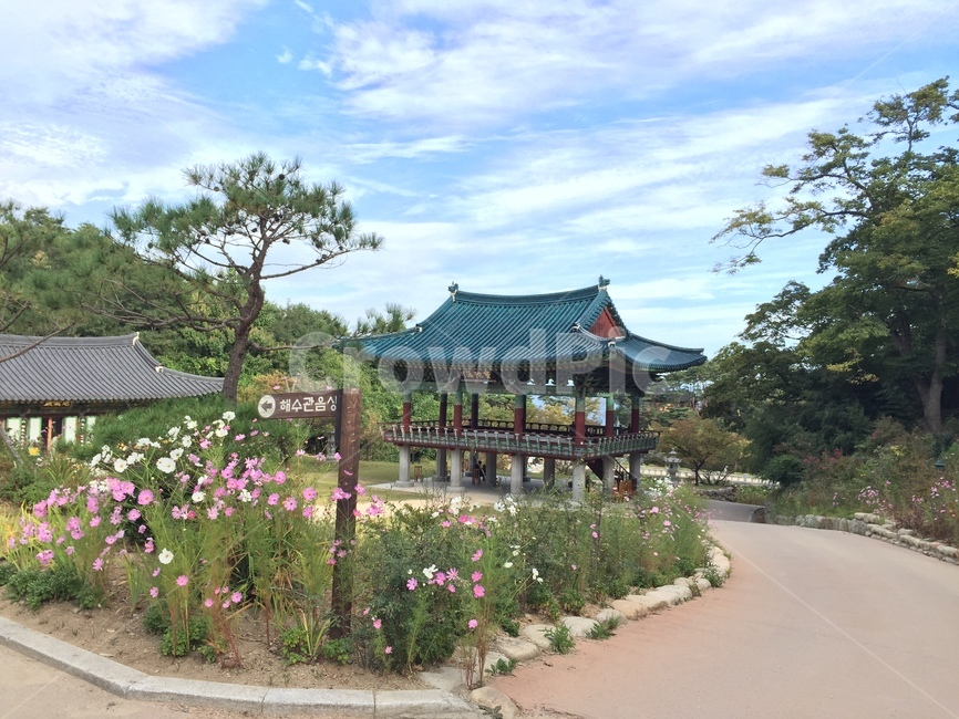 양양,낙산사,하늘,코스모스,소나무,한국전통,한국문화,korean traditional,korean culture,건축물,건물외관,exterior,building,structure,architecture,construction