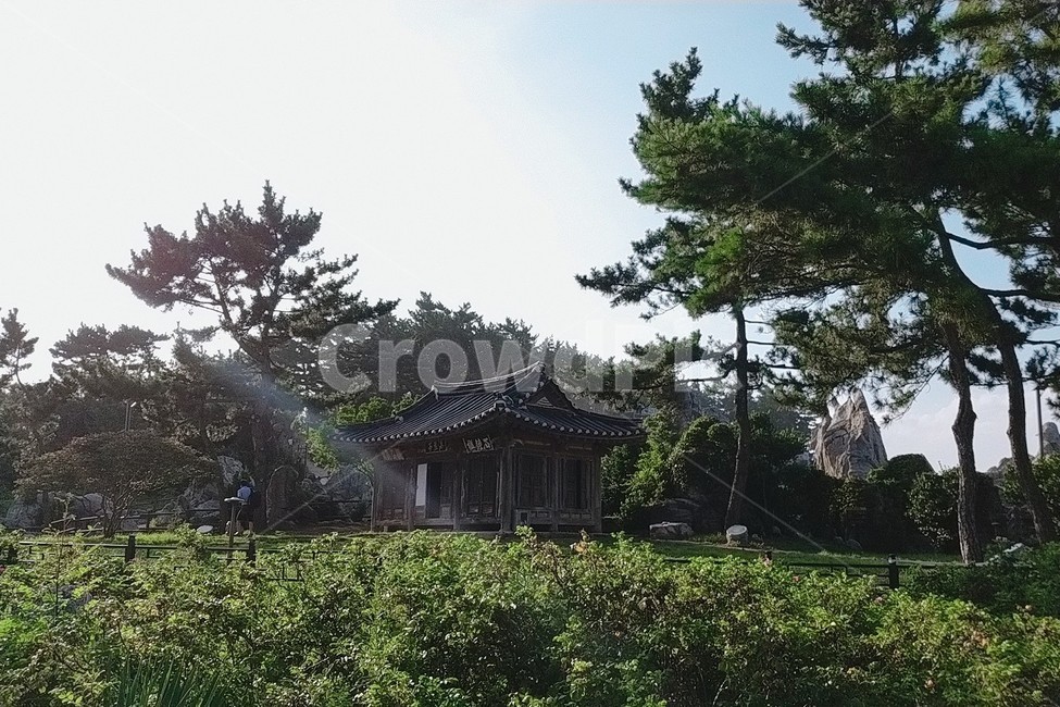 자연,초록,기와집,전통가옥,한국전통,나무,하늘,sky,tree,nature,북평해암정,해암정,동해,누각,조선시대,추암