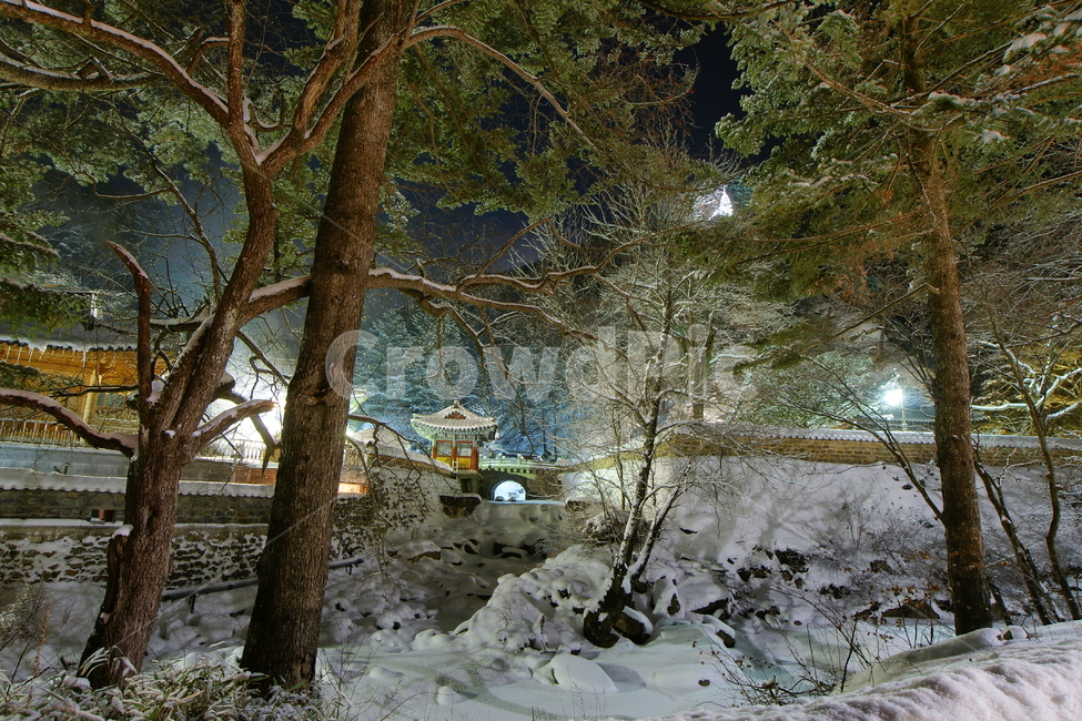 정암사,강원도,정선,설경,사찰,겨울,계절,winter,season,자연,풍경,nature,landscape,한국자연풍경,한국자연경관,korea nature landscape,야경,밤,nightscape,night,outdoors,옥외