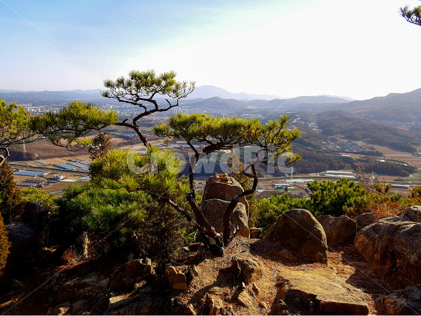 용봉산,소나무,바위,풍경,하늘,자연,풍경,nature,landscape,한국자연풍경,한국자연경관,korea nature landscape,outdoors,옥외,scenery,경치
