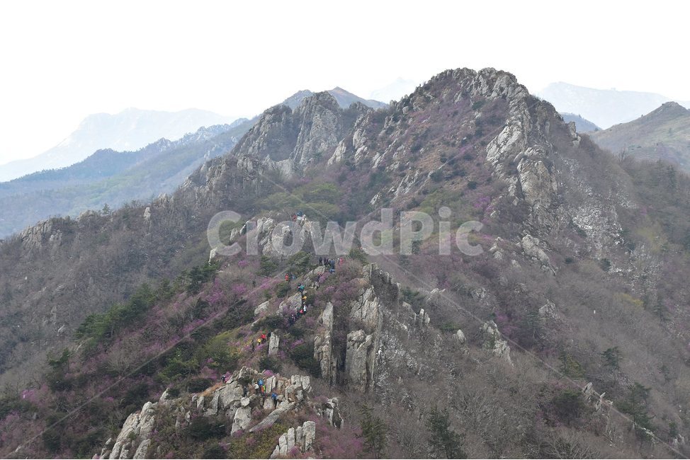 주작산,덕룡산,종주,진달래,풍경,기암,바위,비경,봄풍경,진달래꽃,강진,명산,산행,등산,마운틴,힐링,mountain,landscape,자연,natural,자연,풍경,nature,landscape,한국자연풍경,한국자연경관,korea nature landscape,slope,경사,outdoors,옥외,산