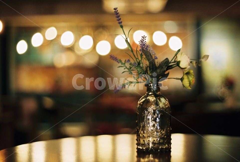 카페,장식,디퓨저,꽃,플라워,식물,자연,plants,nature,꽃,flower,실내용화초,화분,화초,house plant,감성,sensible,feeling,인테리어,실내디자인,interior design