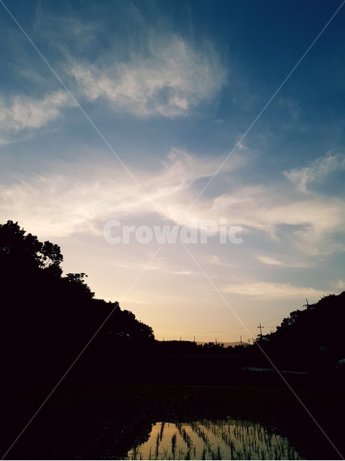 일몰,논,해,풍경,하늘,시골,자연,풍경,nature,landscape,outdoors,옥외,sky