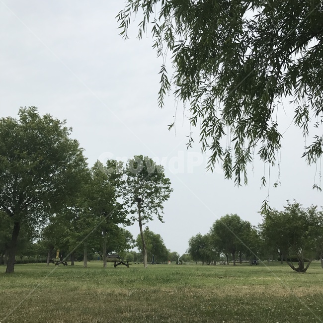 시민공원,공원,산책,초록,힐링