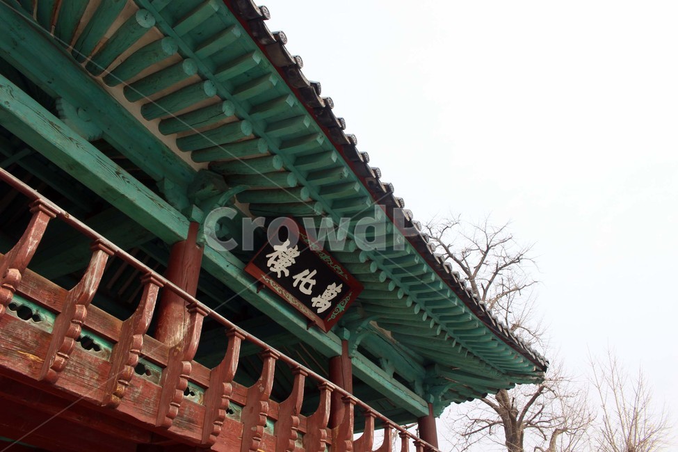 한국,전통,지붕,한옥,기와,건축,건물,집,녹청,기와지붕,한옥지붕,전주,전주향교,향교,한국전통,한국문화,korean traditional,korean culture,건축물,건물외관,exterior,building,structure,architecture,construction