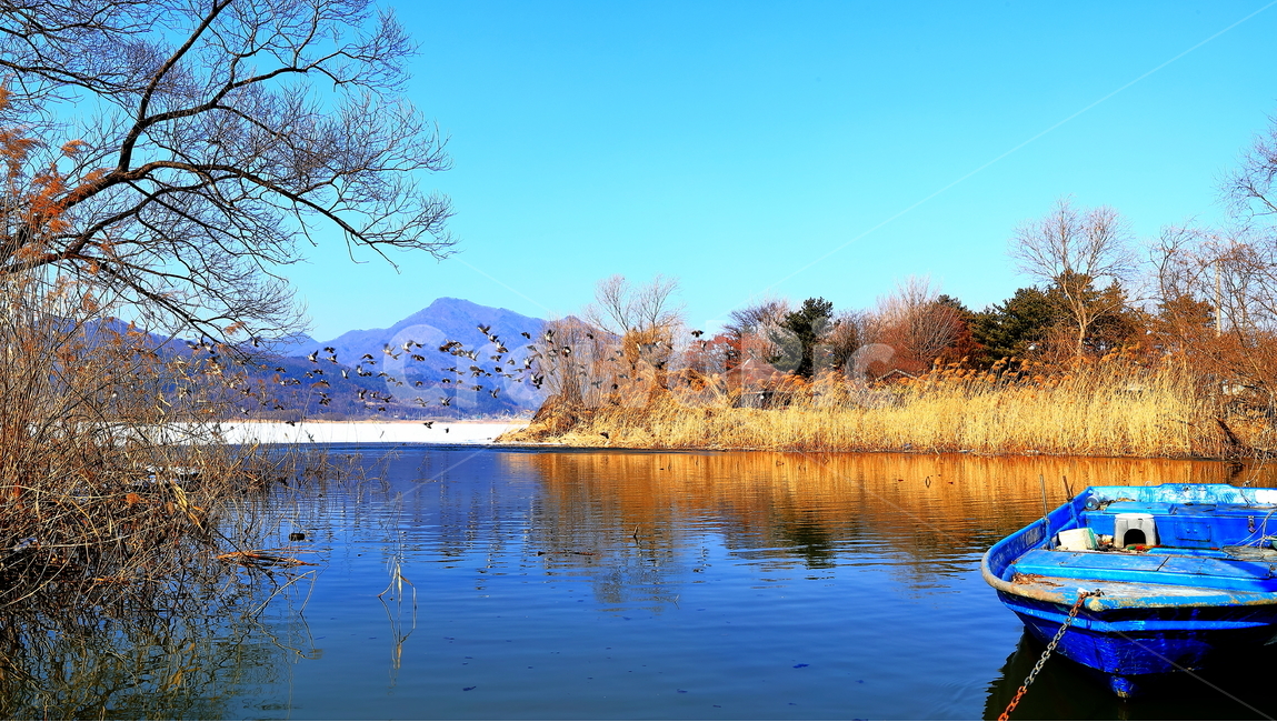 철새,두물머리,양평,겨울,물,겨울,계절,winter,season,자연,풍경,nature,landscape,한국자연풍경,한국자연경관,korea nature landscape,water,outdoors,옥외