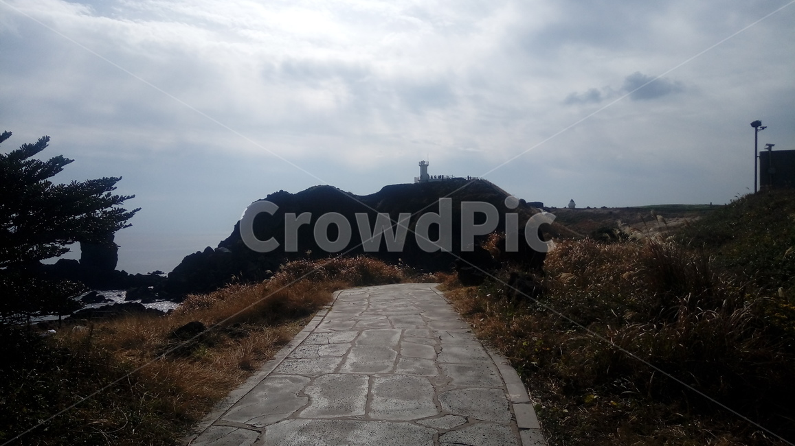 길,선택지,산,나무,돌길