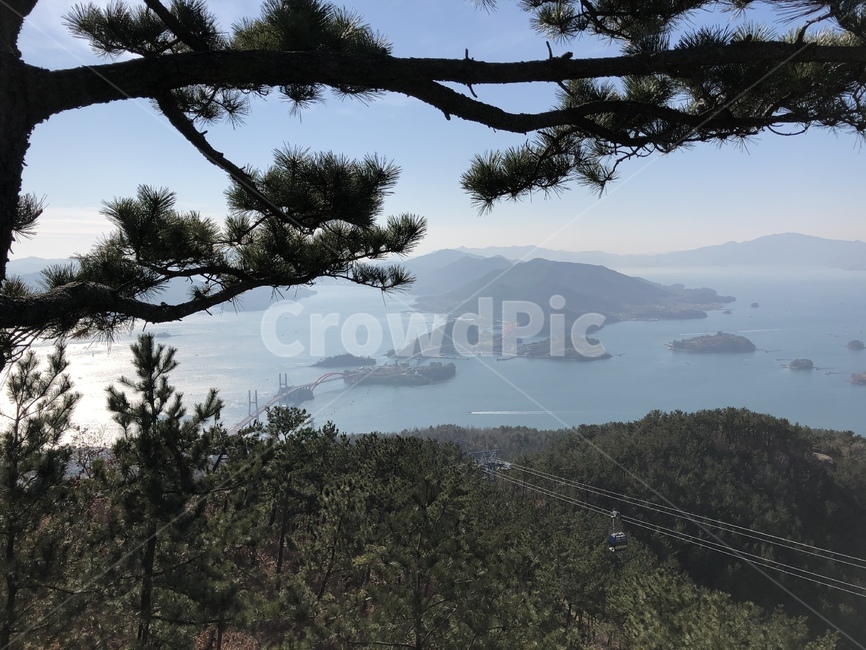 nature,자연,outdoors,옥외,tree,나무,plant,식물,shoreline,해안선,sea,바다,소나무,winter,겨울,삼천포