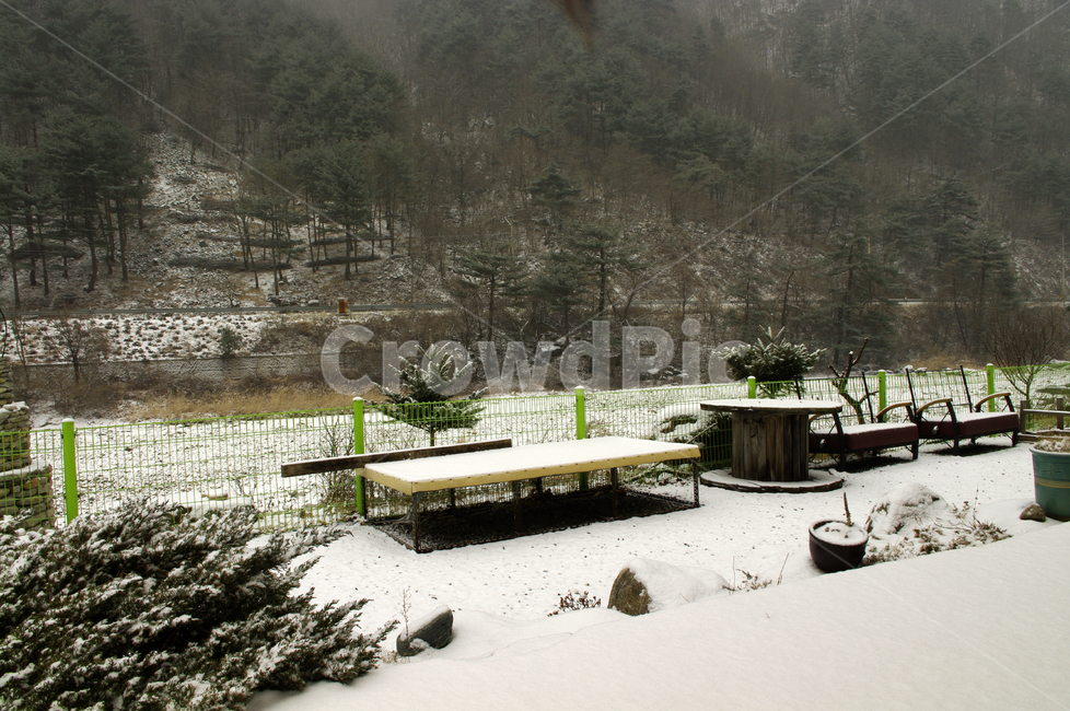 겨울,나무,풍경,산,눈,겨울,계절,winter,season