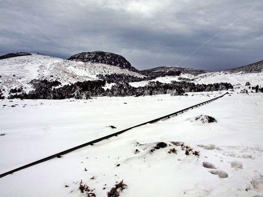 어리목,한라산,제주도,겨울,설산,설경,눈,백록담,겨울,계절,winter,season,자연,풍경,nature,landscape,outdoors,옥외,mountain,산,snow