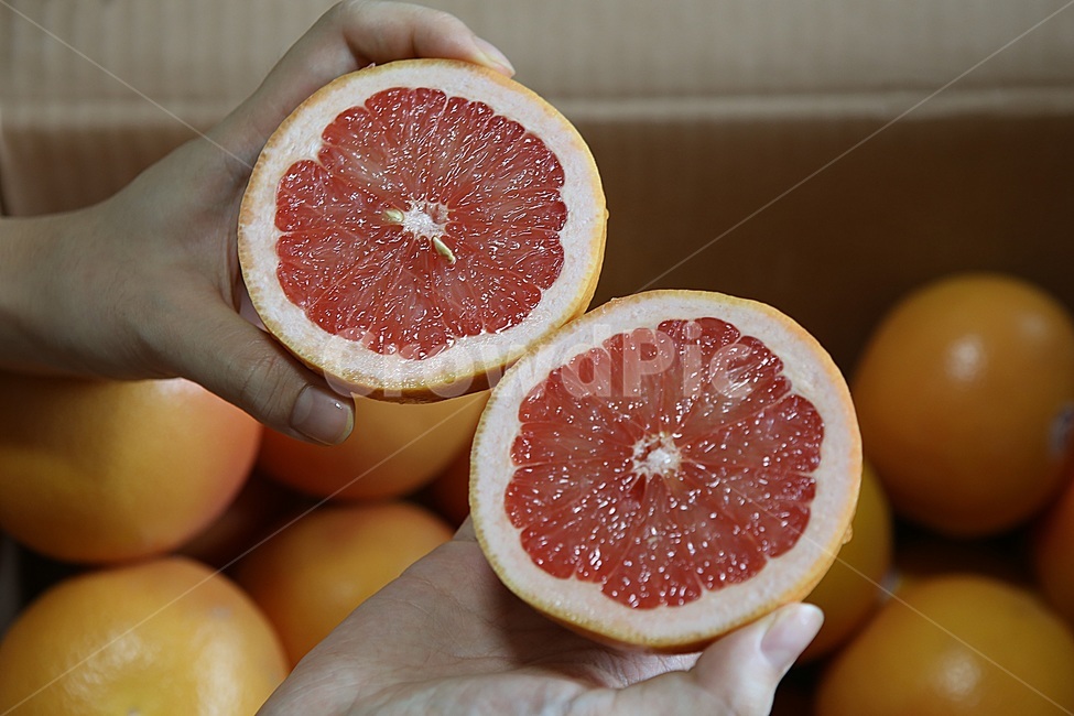 자몽,과일,제철과일,grapefruit,레드자몽,상큼함,음식,식재료,요리,food,cook,meal,dishes,food reserves,과일,열매,fruit