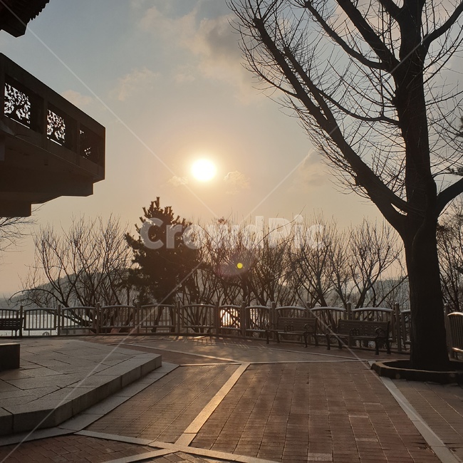 저녁,노을,인천,차이나타운,incheon,나무,자연,afternoon,nature,tree,오후,일몰,sun,태양,하늘,sky