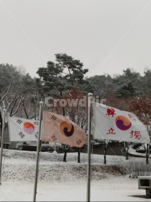 태극기,국기,깃발,flag,太極旗