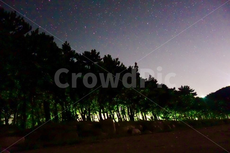 밤,해변,밤하늘,은하수,별,소나무,자연,풍경,nature,landscape,야경,밤,nightscape,night,outdoors,옥외