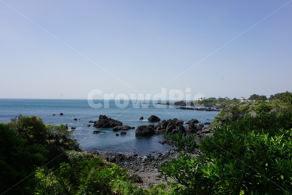 돌,바다,자연,제주도,푸른색,초록색,검은색,sea,stone,nature,수평선,풍경,배경,제주도,jeju,jeju island,promontory,곶,vegetation,초목,plant,식물