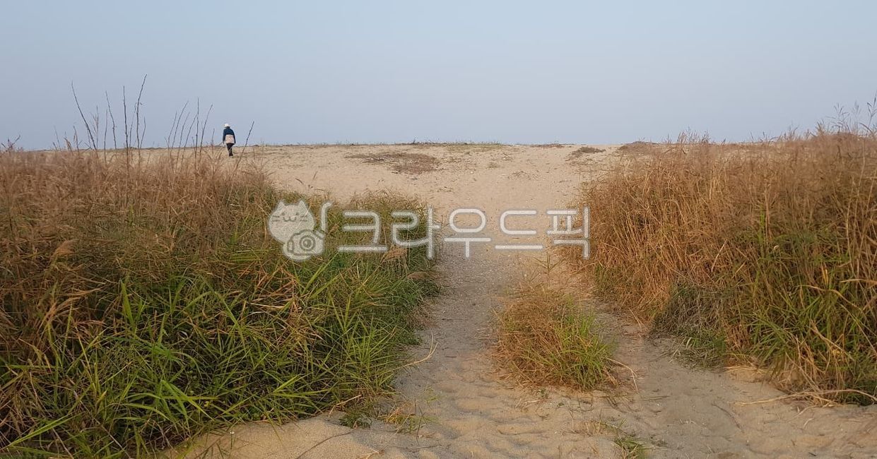 모래,바닷길,해안,산책,모래언덕