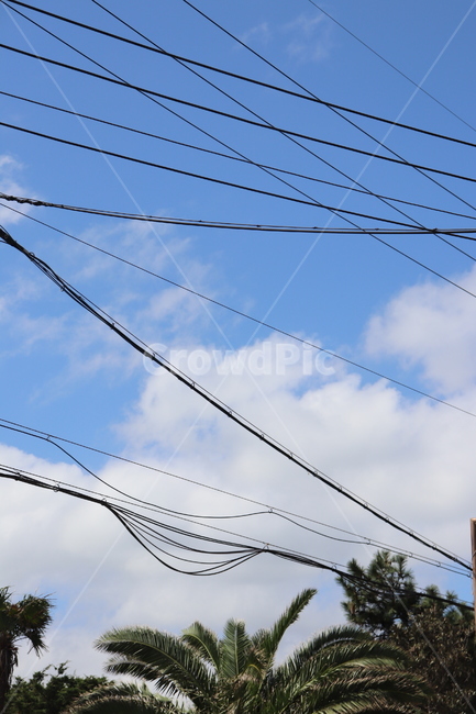 하늘,풍경,야자수,구름,전깃줄,sky,cloud,palmtree,나무