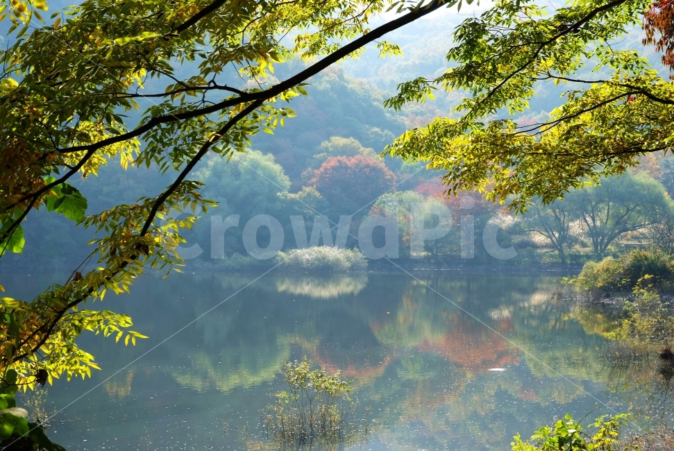 가을,호수,반영,나무,숲,산,단풍,호숫가,가을,계절,fall,autumn,season,자연,풍경,nature,landscape,한국자연풍경,한국자연경관,korea nature landscape,water,물,outdoors,옥외