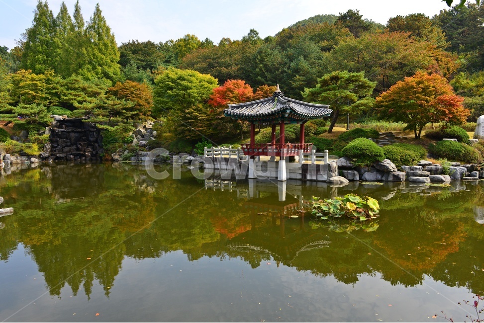 충남,대전,현충원,국립현충원,연못,가을,반영,추색,정자,nature,자연,water,물,outdoors,옥외,자연,풍경,nature,landscape,한국자연풍경,한국자연경관,korea nature landscape,한국전통,한국문화,korean traditional,korean culture