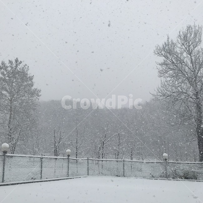 눈,눈보라,겨울,winter,storm,폭풍,blizzard,snow,nature,자연