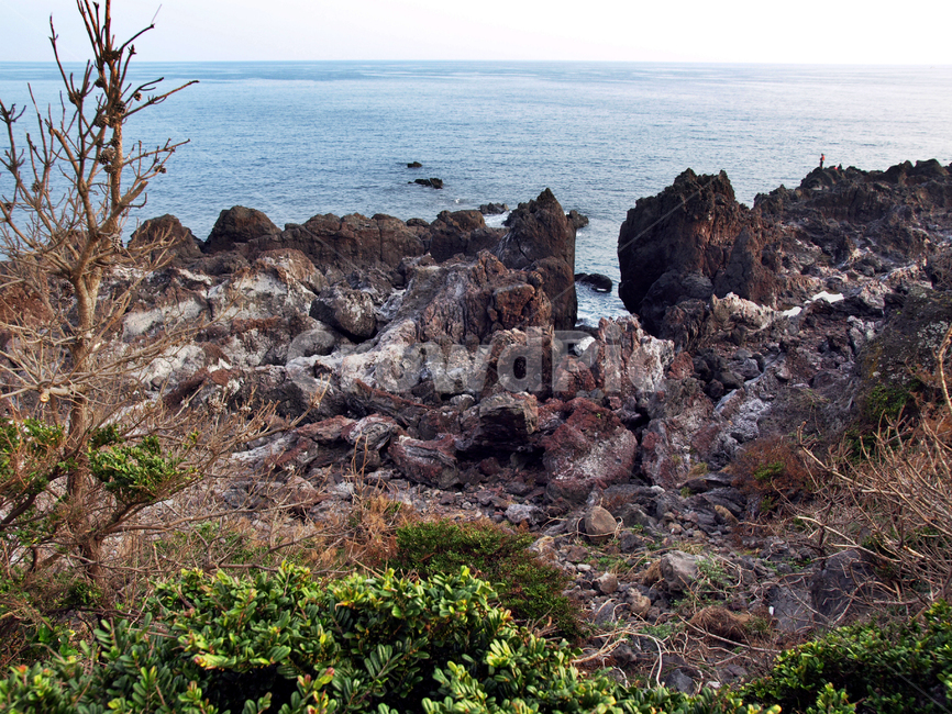 올레8코스,올레길,제주,서귀포시,도로,일몰,바다,기암괴석,자연,풍경,nature,landscape,제주도,jeju,jeju island,promontory,곶