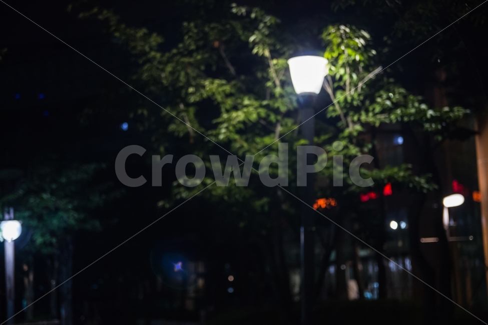 야경,풍경,거리,밤거리,가로등,야경,밤,풍경,nightscape,night,landscape,lamp post,램프 포스트