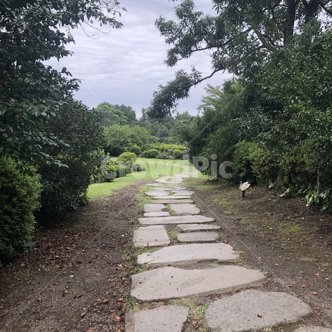 돌길,돌담길,흙,길,street,flagstone,판석,slate,슬레이트,path,통로,나무,하늘,자연