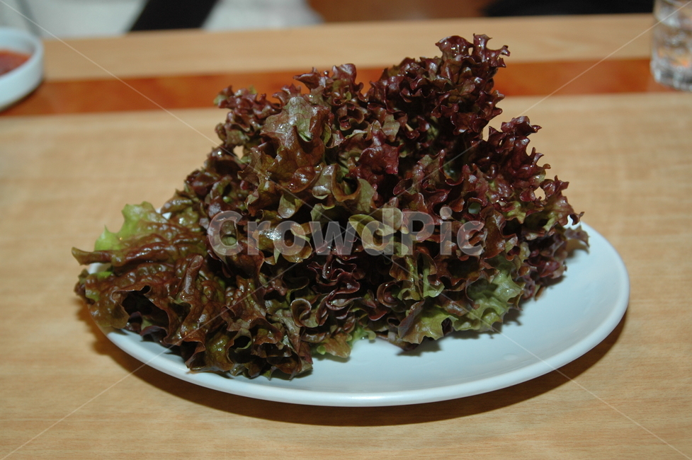 상추,채소,야채,음식,food,음식,식재료,요리,food,cook,meal,dishes,food reserves,채소,야채,vegetables